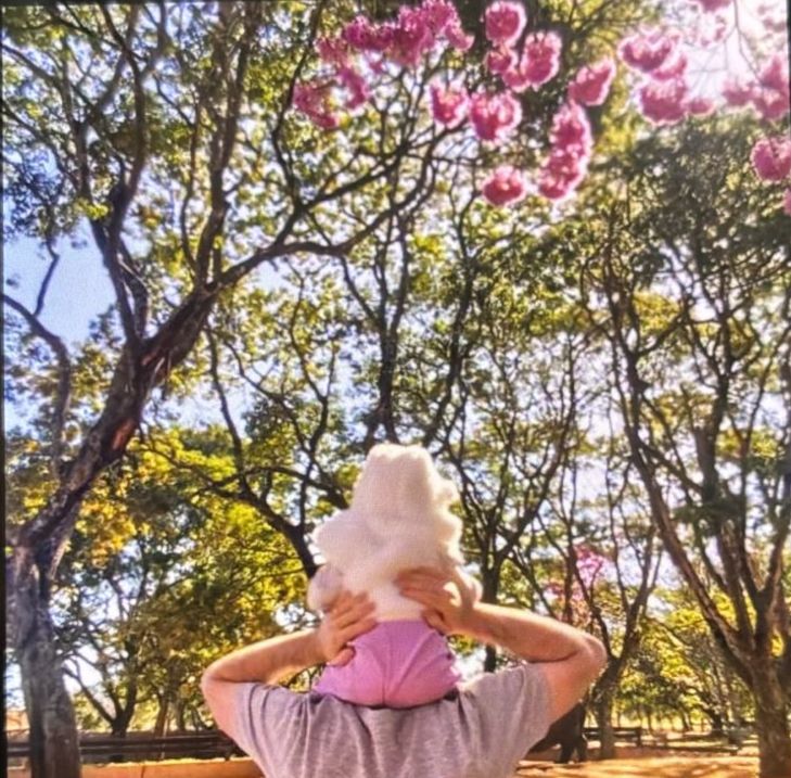 Pessoa com criança nos ombros contemplando ipês rosa em flor. Depoimento de Henrique O. sobre o processo Akasha.
